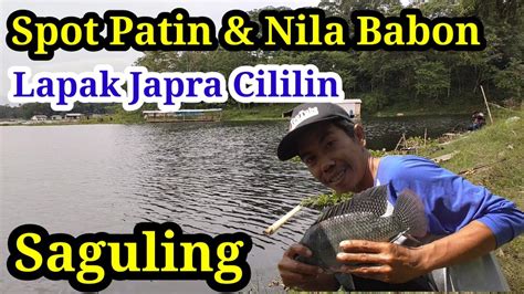 Spot Mancing Patin Babon Rute Lapak Japra Cililin Waduk Saguling