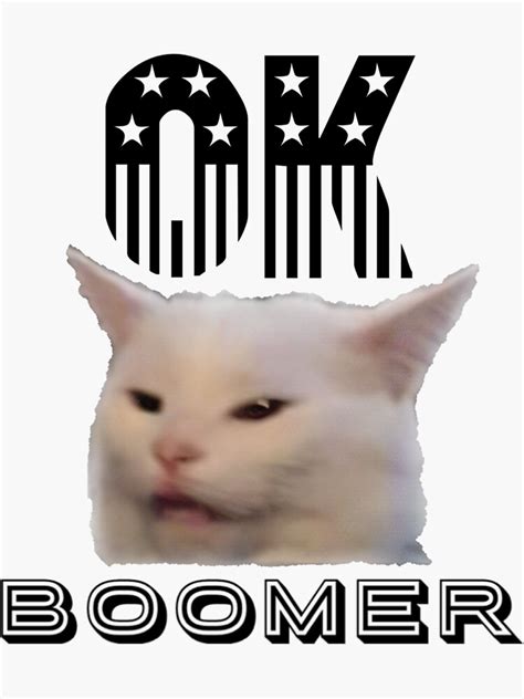 Ok Boomer And Yelling At Cat Meme Sticker For Sale By Tbh Store