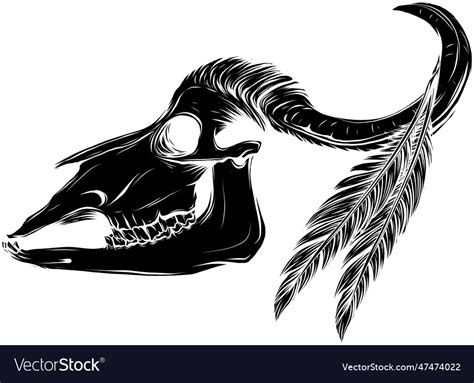 Black Silhouette Of Buffalo Skull With Feathers Vector Image