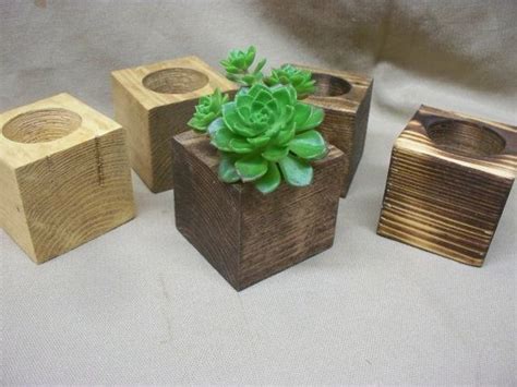 Cube Succulent Planters Indoor Garden Planters Cactus Planter Office