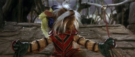 Labyrinth Dove Tutto Possibile Anniversario Uhd Af Digitale