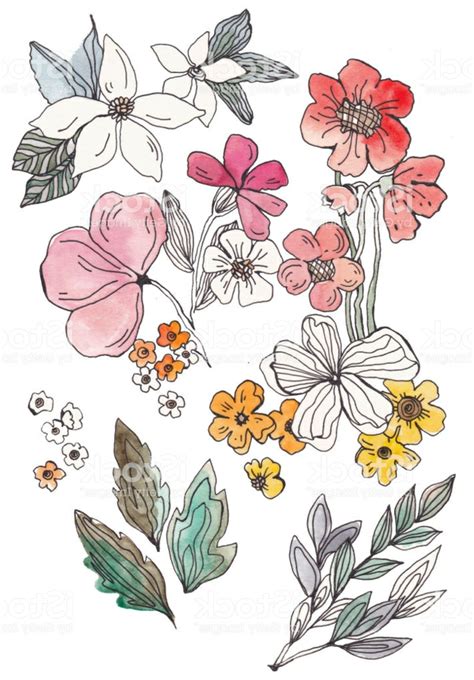 Aprende A Dibujar Ideas De Dibujos De Flores F Ciles