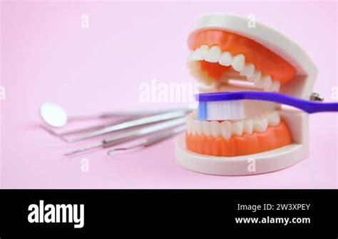 Oral Cavity Care How To Properly Brush Teeth With A Toothbrush Stock Video Footage Alamy