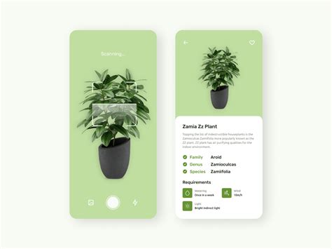 Plant Scanner App Ui Design By Aarthi On Dribbble