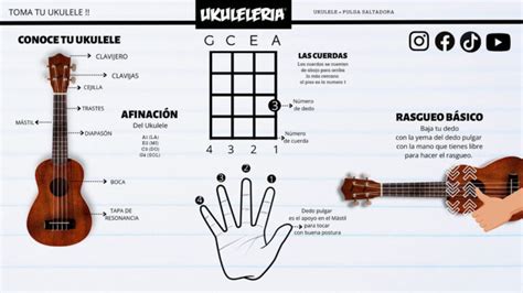 Cuantas Cuerdas Tiene Un Ukelele