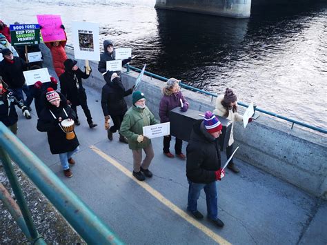 Protesters mourn death of local wetlands | Quinte News