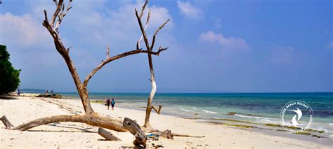 Best Beaches In Havelock Island HavelockBeachResort