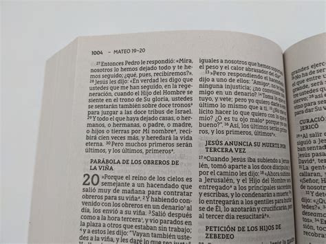 Santa Biblia Nbla Edici N Econ Mica Letra Grande Tapa R Stica