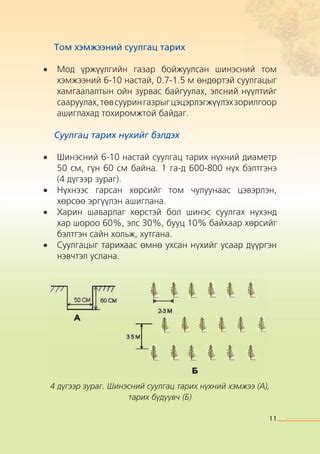 Шинэс тарьж ургуулах гарын авлага | PDF
