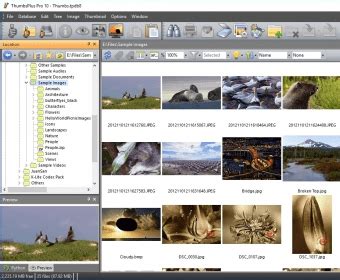 thumbsplus    trial thumbsexe