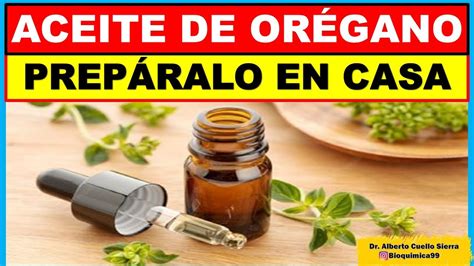 ACEITE DE OREGANO PREPARALO EN CASA YouTube