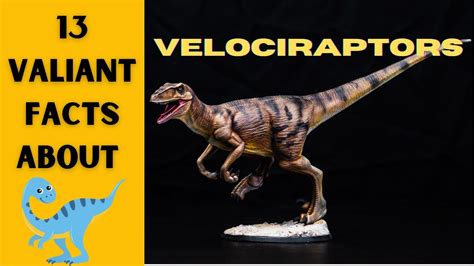 13 Valiant Facts About Velociraptors Youtube