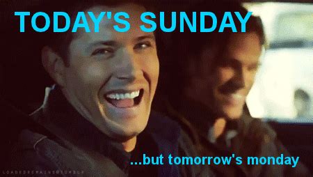 Days Of The Week Sunday GIF - Find & Share on GIPHY