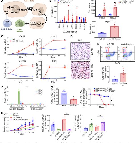 PDF A Tumor Intrinsic PD L1 NLRP3 Inflammasome Signaling Pathway