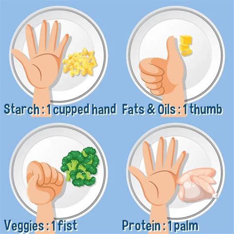 Learn How Eat Healthy Comparing Portion Sizes Using Your Hand Stock