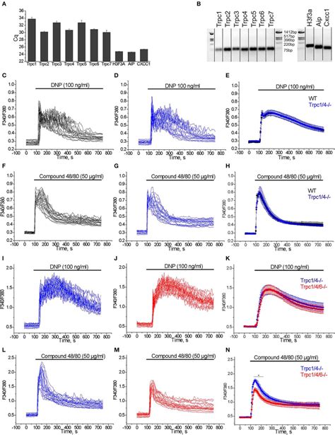 A Rt Qpcr Expression Analysis Of Trpc Transcripts In Pmc Cq Values