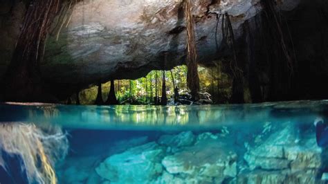 La Guía Definitiva De Cenotes Mexicanos En La Riviera Maya Odigoo