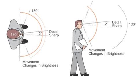 Which Is And Nasal Visual Field Interpretation