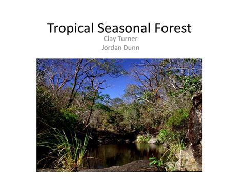 PPT - Tropical Seasonal Forest PowerPoint Presentation, free download ...