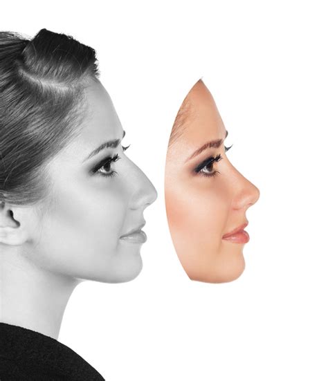 Which Nose Type Do You Have 6 Different Nose Shapes