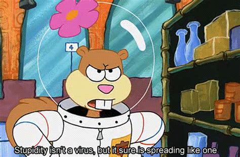 Sandy Cheeks From Funny Quotes Quotesgram