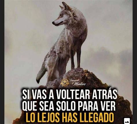 Introducir 38 Imagen Frases De Lobos Fuertes Abzlocal Mx