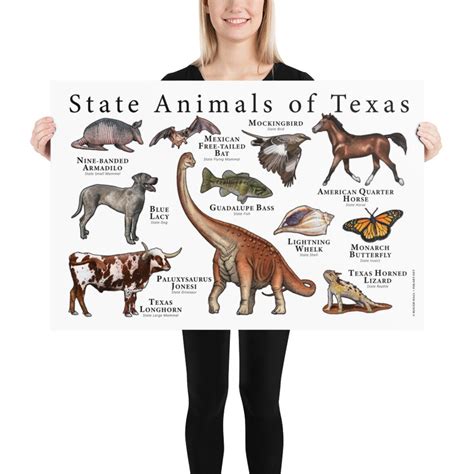 Texas State Animals Poster Print | Etsy