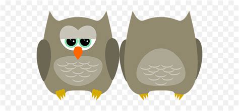 File:Clipart owl.png - Wikimedia Commons - Clip Art Library