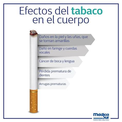 El Cigarro Tiene Efectos Importantes En Tu Salud Ent Rate Cuales Son