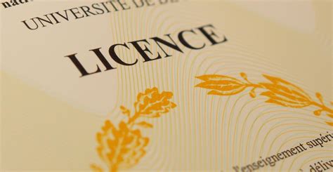 Licence University Of Tlemcen