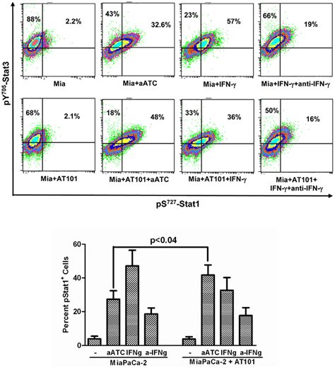 Shows Induction Of Ps 727 Stat1 In Miapaca 2 Cells Incubated With 10