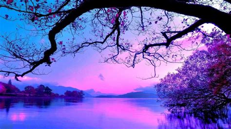 Blue And Purple Sunset 2k Wallpaper Hdwallpaper Desktop Purple Sunset Sunset Wallpaper