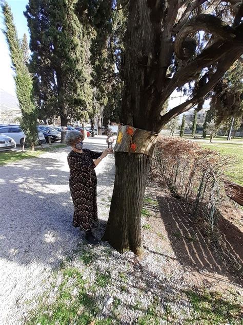 Riva del Garda la contestazione Giù le mani dai cipressi