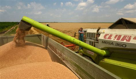 Naturalna Razmena P Enice I Kukuruza Agro Vesti By Agronews Rs