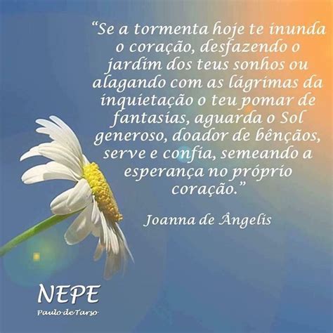 Ser Esp Rita Joanna De Ngelis Livro Esp Rito E Vida Divaldo P