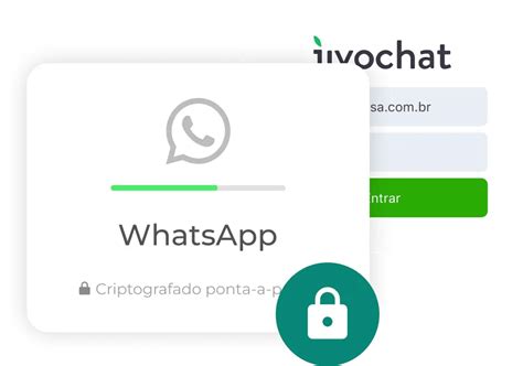 Conecte O Whatsapp Business Ao Jivochat