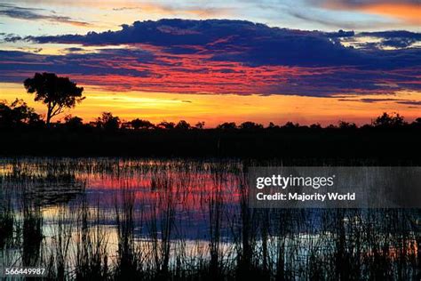 101 Sunset Over Okavango Delta Stock Photos, High-Res Pictures, and ...