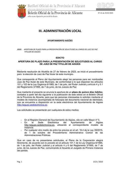 Apertura De Plazo Para La PresentaciÓn De Solicitudes Al Cargo De Juez