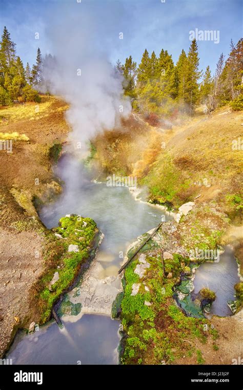 Aguas Termales En El Parque Nacional Yellowstone Wyoming Estados