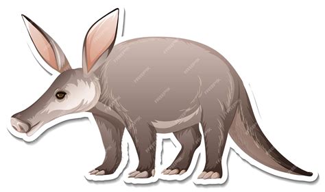 Aardvark