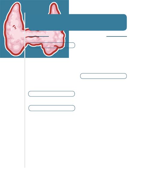 Diabetes Mellitus Notes Diagrams And Illustrations Osmosis