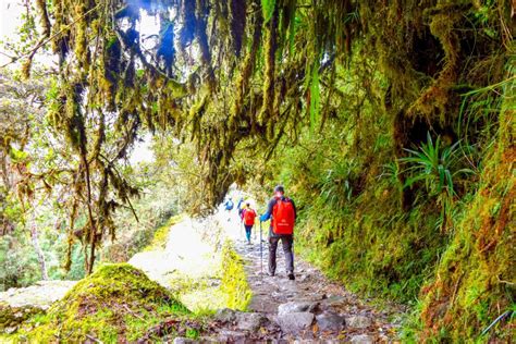 Cuzco D As De Ruta En Grupo Por El Camino Inca Hasta El Machu Picchu