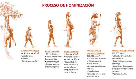 EL SER HUMANO