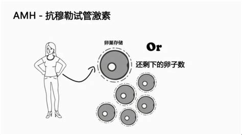 Amh与年龄正常值对照表 Amh检查流程、时间及偏低原因 柚喜学园