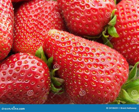 Strawberry Texture Stock Image Image Of Seeds Strawberry 2418659