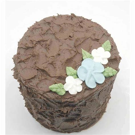 Simple Chocolate Cake Decorating Ideas For Beginners Shelly Lighting