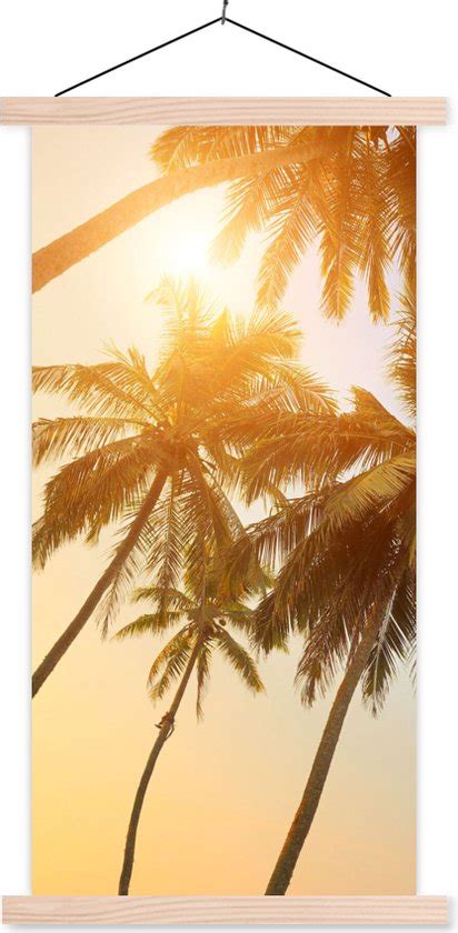 Posterhanger Incl Poster Schoolplaat Palmboom Zon Zomer