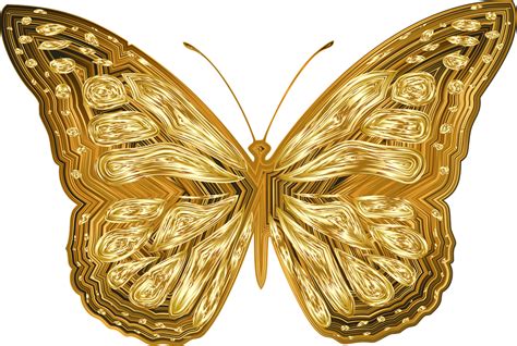 Explore 12728 Free Gold Butterfly Illustrations Download Now Pixabay