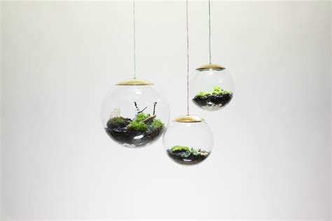 These amazing terrarium lamps grow plants in even the darkest rooms