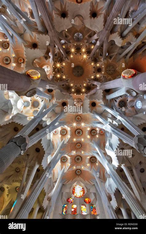 Interior View Ceiling Vault Sagrada Familia By Antoni Gaudi Barcelona